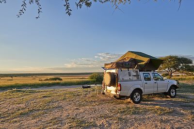 voyage Au bout des pistes... Le Central Kalahari