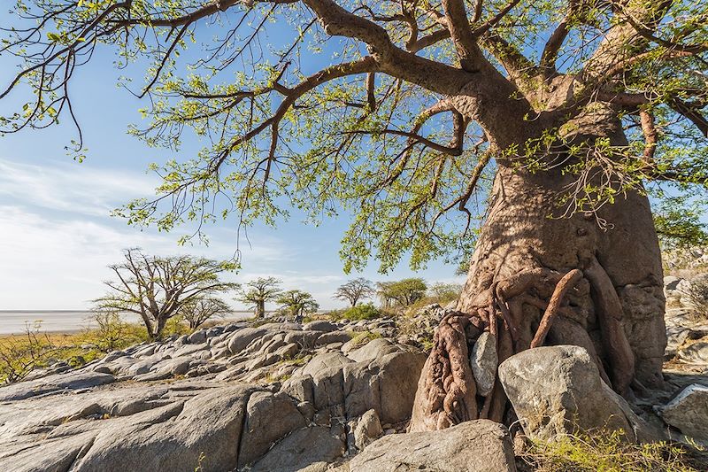 Kubu Island - Botswana