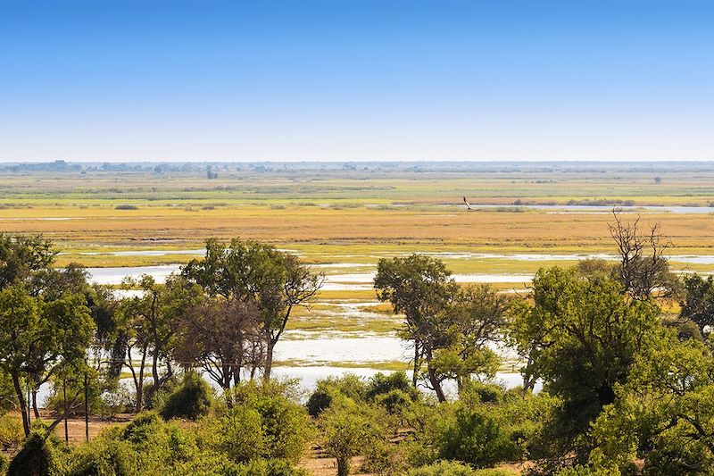 Parc national de Chobe - Botswana 