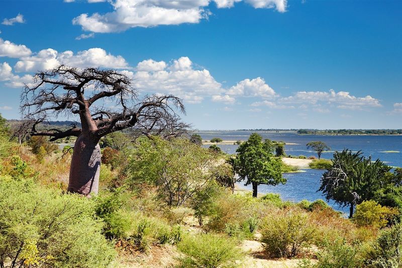 rivière Chobe - Botswana