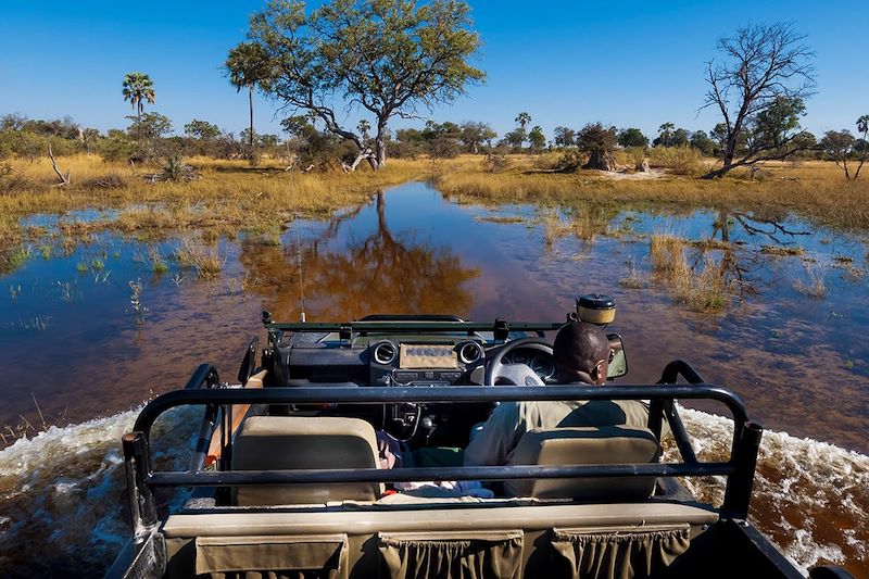 Rencontres Bushmen au fil de l'Okavango