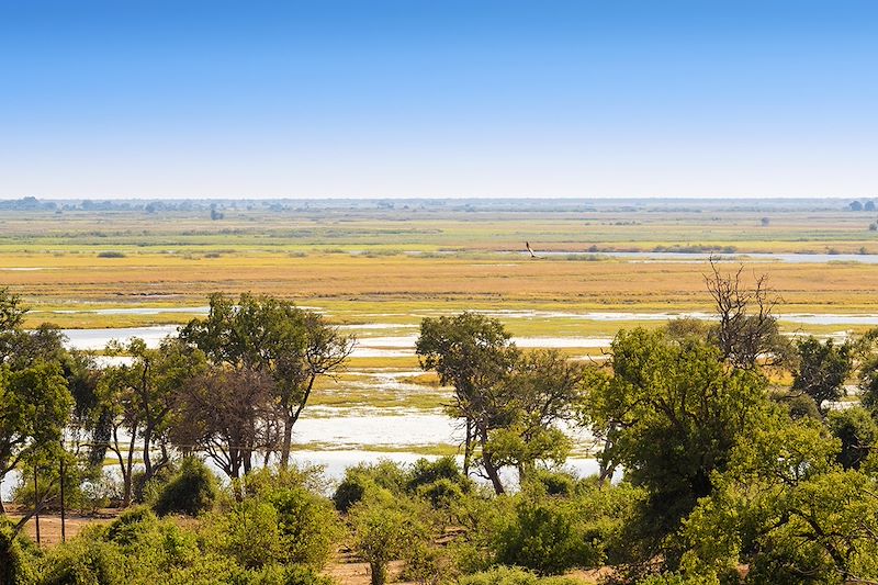 Parc national de Chobe - Botswana 