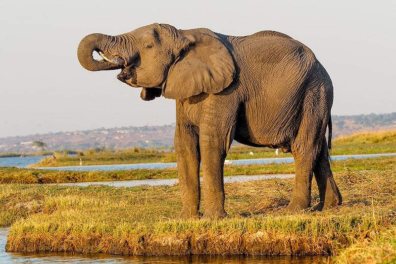 Autotour en Afrique Australe