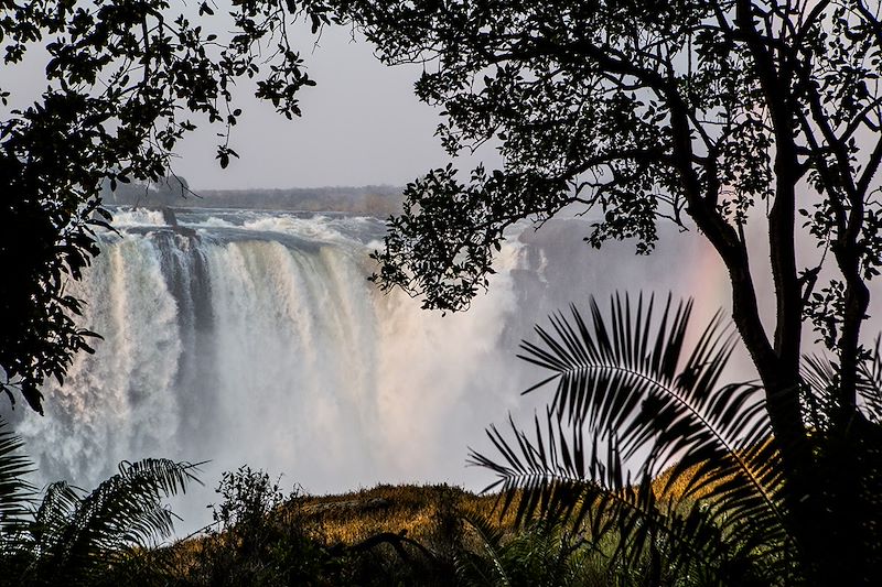 Victoria Falls - Zimbabwe