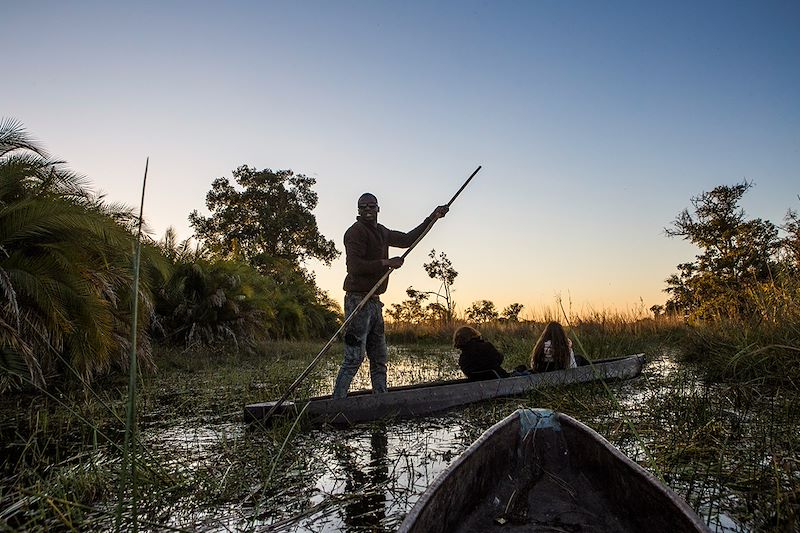 En mokoro dans les Cyperus Papyrus de l'Okavango - Botswana