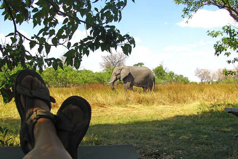 Éléphant - Khwai Concession - Botswana