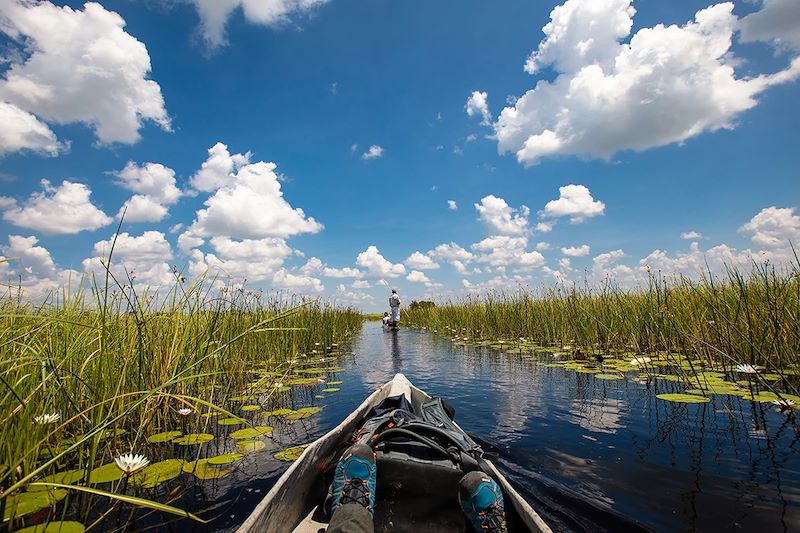 En mokoro sur le delta de l'Okavango - Botswana