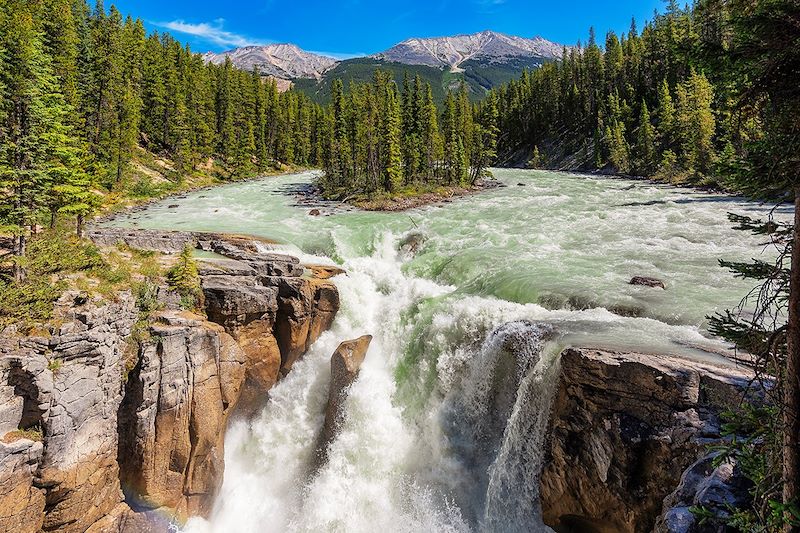 Chutes Sunwapta - Parc national de Jasper - Canada