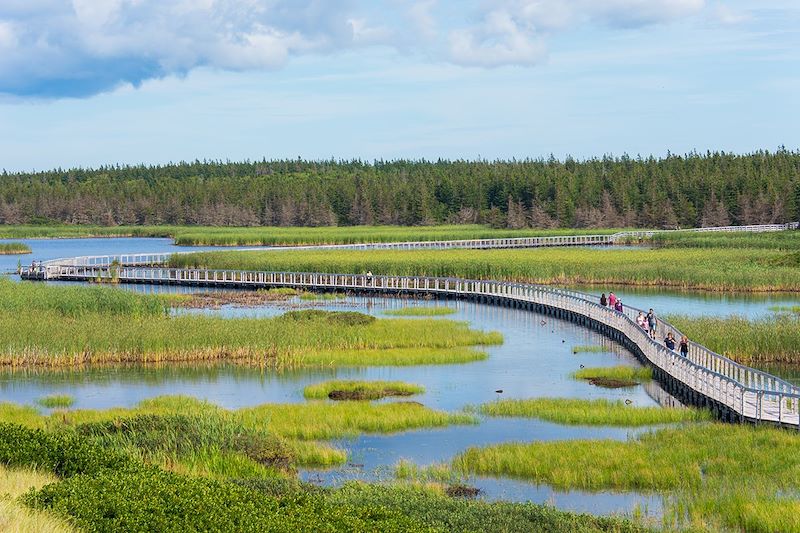 Promenade sur les étangs, parc national de l'Île-du-Prince-Édouard - Greenwich  - Canada