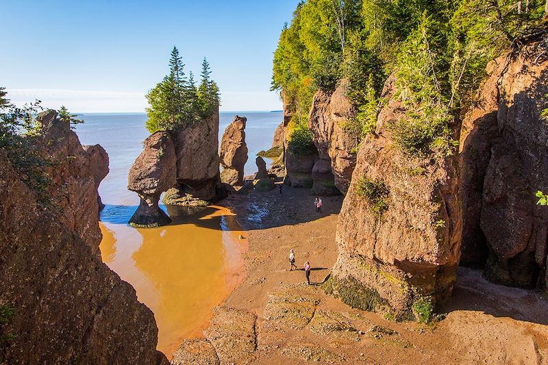 Parc provincial Hopewell Rocks - Baie de Fundy - Canada