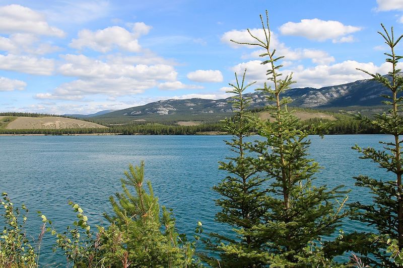 Fleuve Yukon - Whitehorse - Yukon - Canada