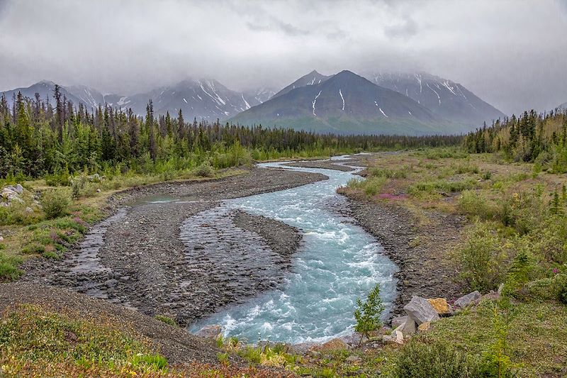 Kluane National Park au sud de Haines Junction - Yukon - Canada