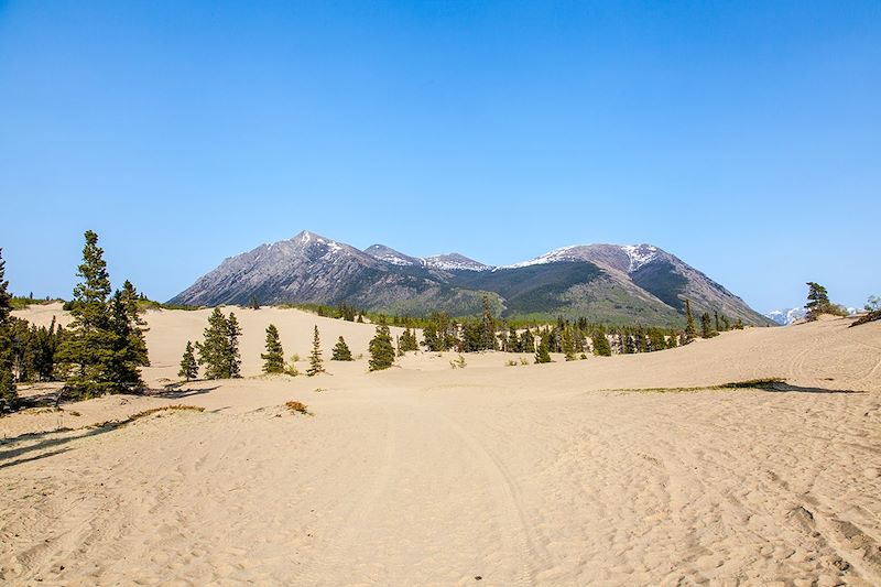 Désert de Carcross, le plus petit désert au monde - Yukon - Canada