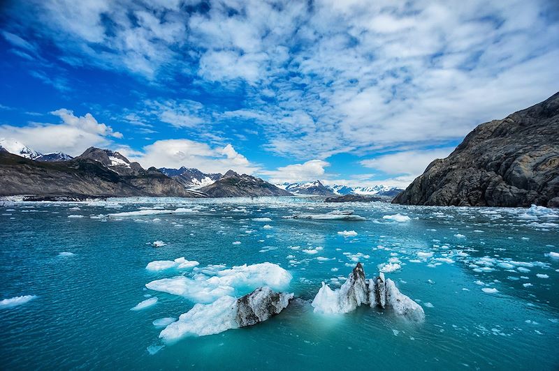 Arrivée au Columbia Glacier - Prince William Sound - Alaska - États-Unis