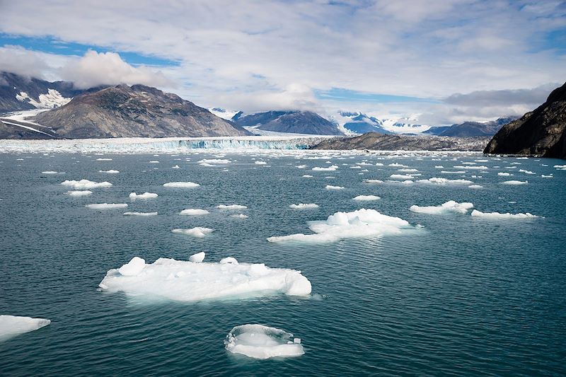 Alaska Glacier - Parc national de Kenai Fjords - Alaska