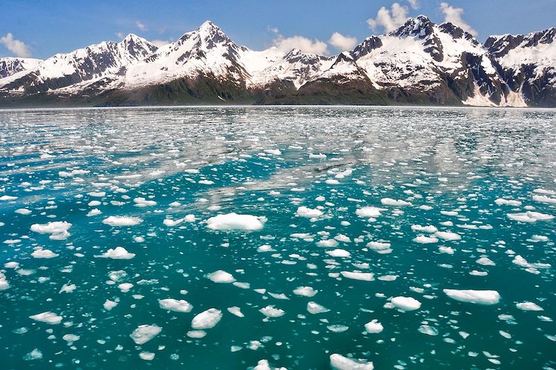 Aialik Bay - Kenai Fjords National Park - Alaska