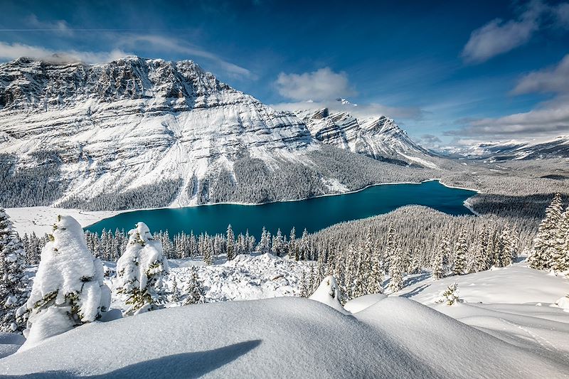 Parc national de Banff en hiver - Alberta - Canada