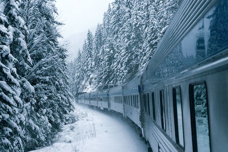 Train 