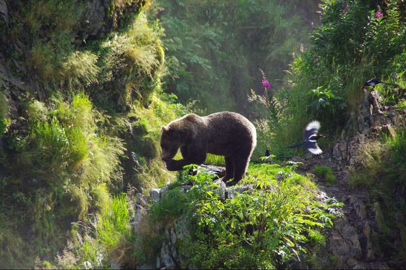 Rendez-vous en terre lointaine : le Yukon