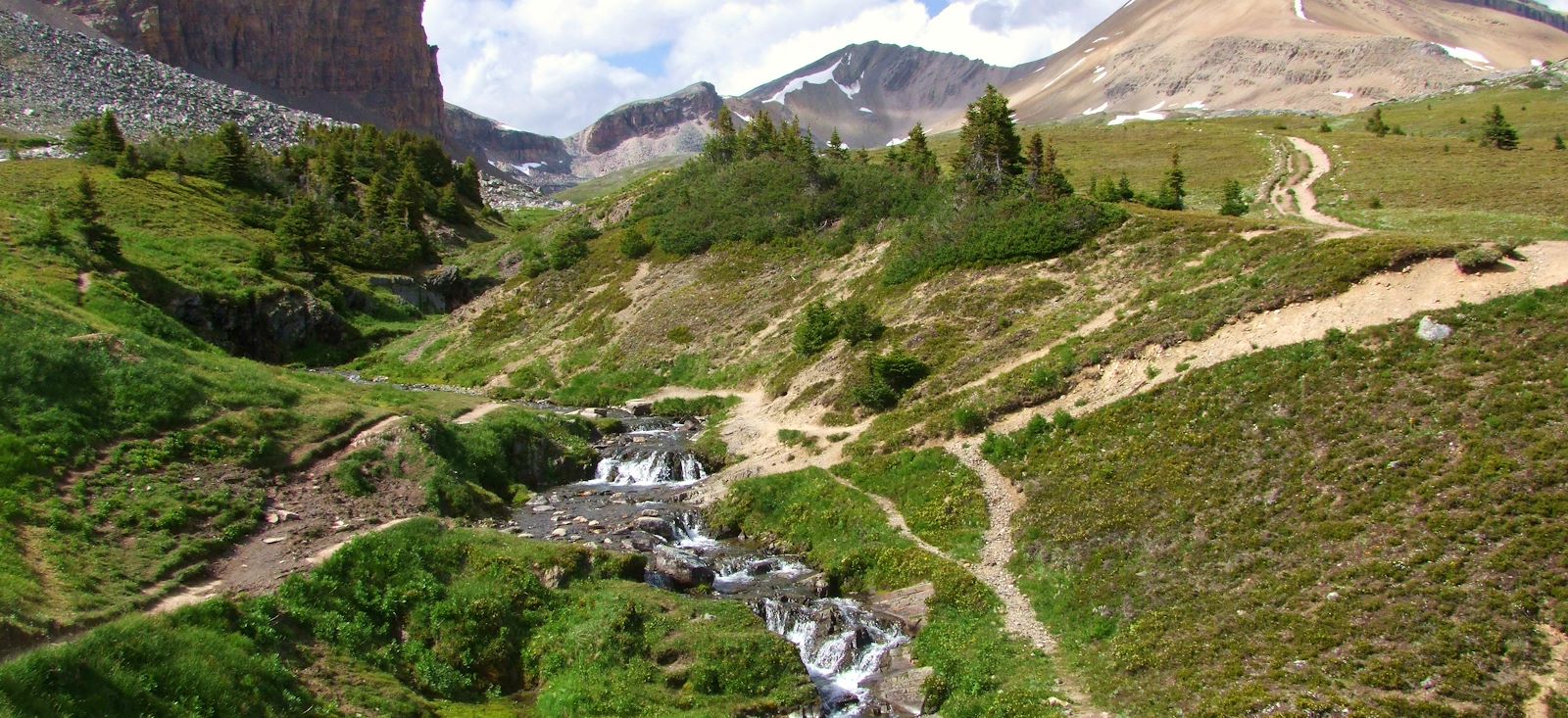 Image Quatre pépites dans les Rocheuses