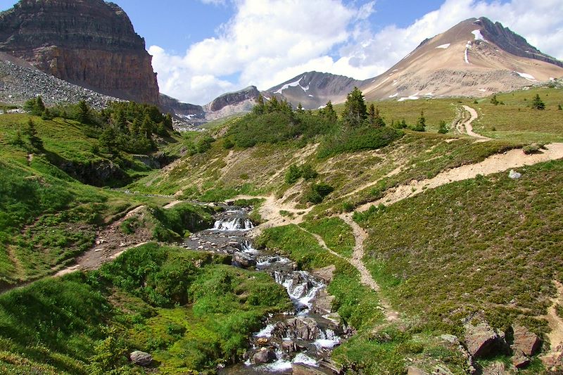 Helen Lake Trail dans le Parc national de Banff - Alberta - Canada