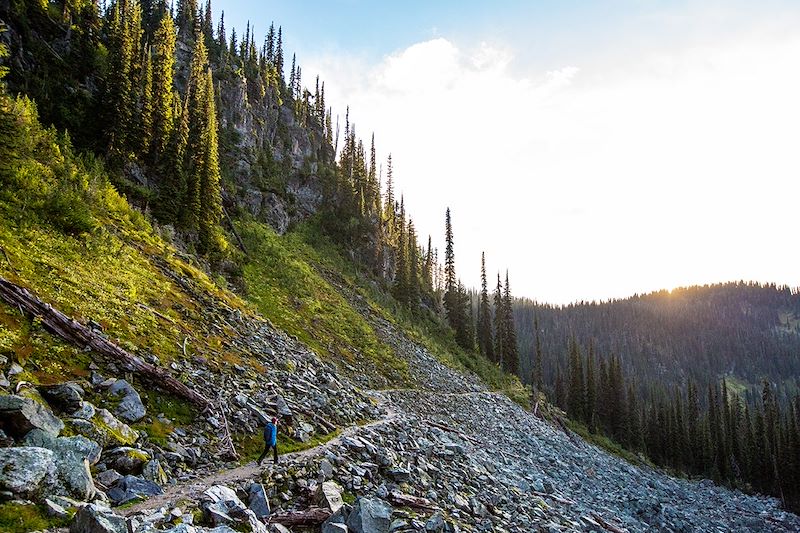 Randonneur au Parc national du Mont-Revelstoke - Colombie-Britannique - Canada
