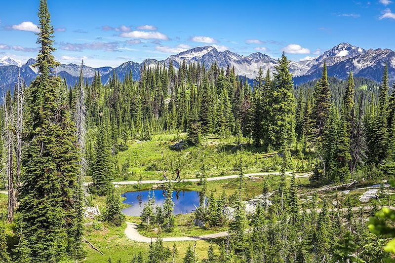 Parc national du Mont-Revelstoke - Colombie-Britannique - Canada