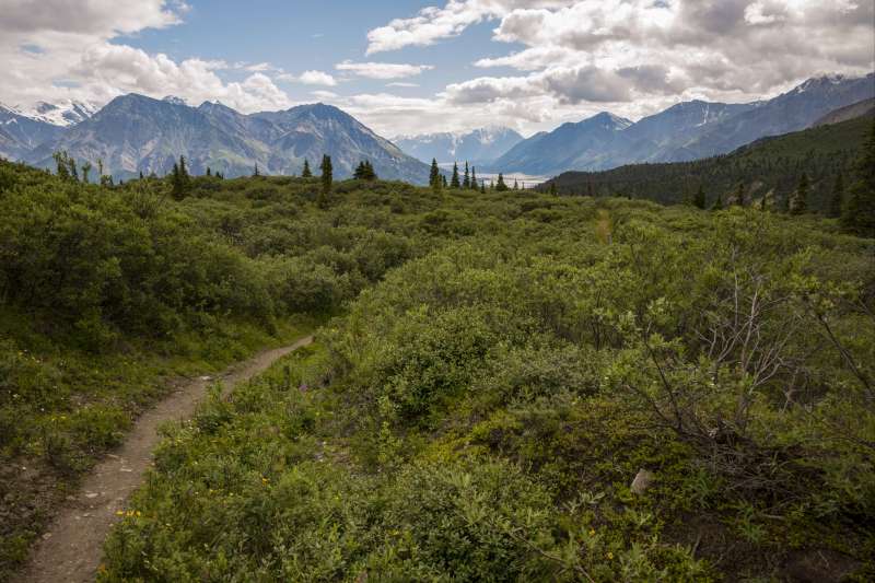 Rendez-vous en terre lointaine : le Yukon