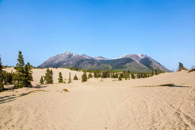 Rendez-vous en terre lointaine : le Yukon