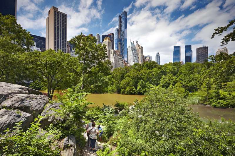 50+ 50 itineraires a new york fiches ideas in 2021