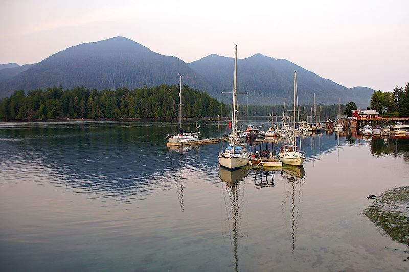 Port de Tofino - Île de Vancouver - Colombie-Britannique - Canada