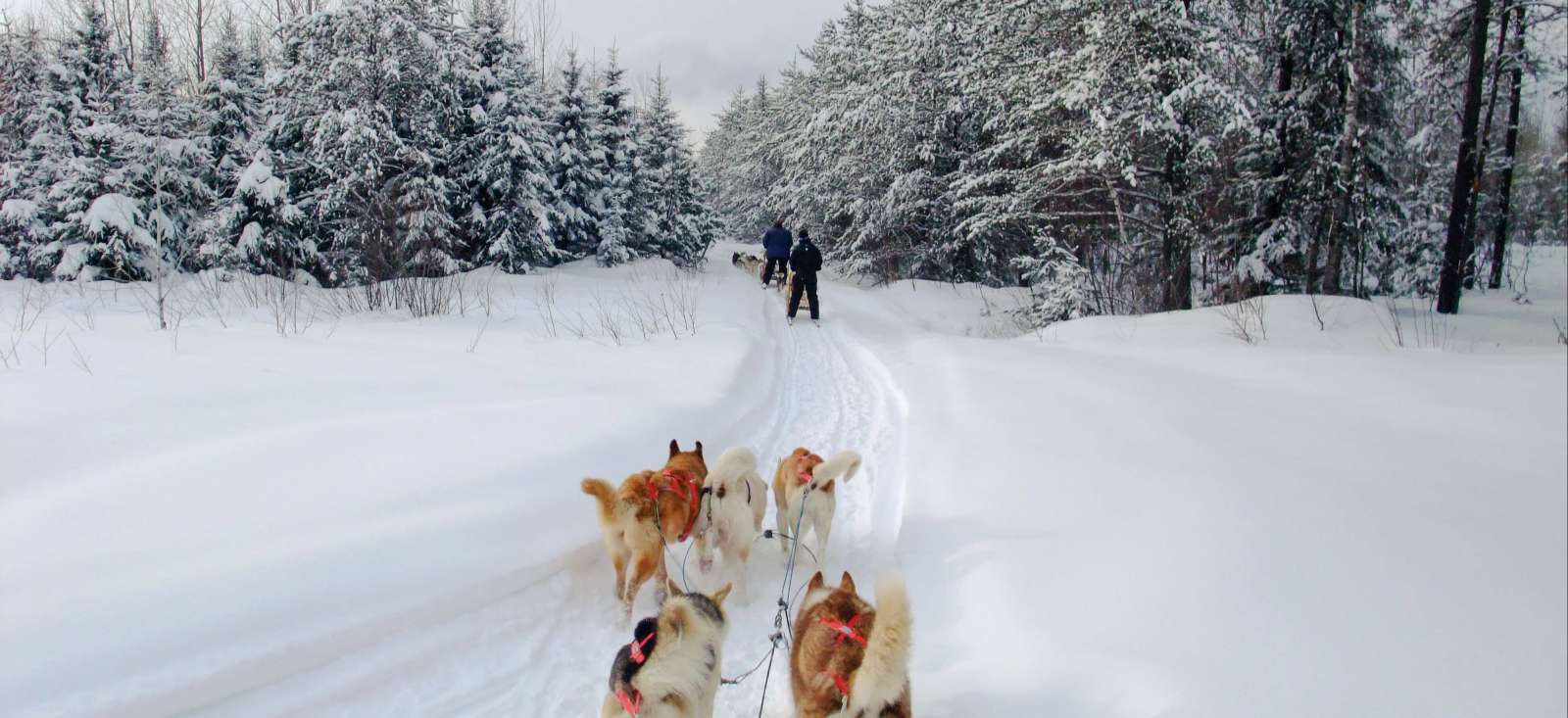 Voyage multi-activités - Canada : Le Québec en hiver, c\'est l\'fun!