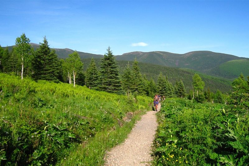 Parc National de la Gaspésie - Québec - Canada