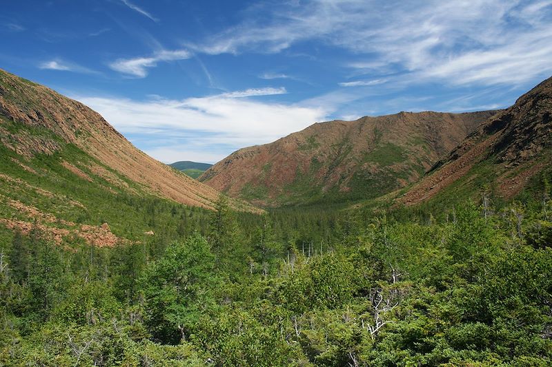 Vallée du mont Albert - Parc national de la Gaspésie - Québec - Canada