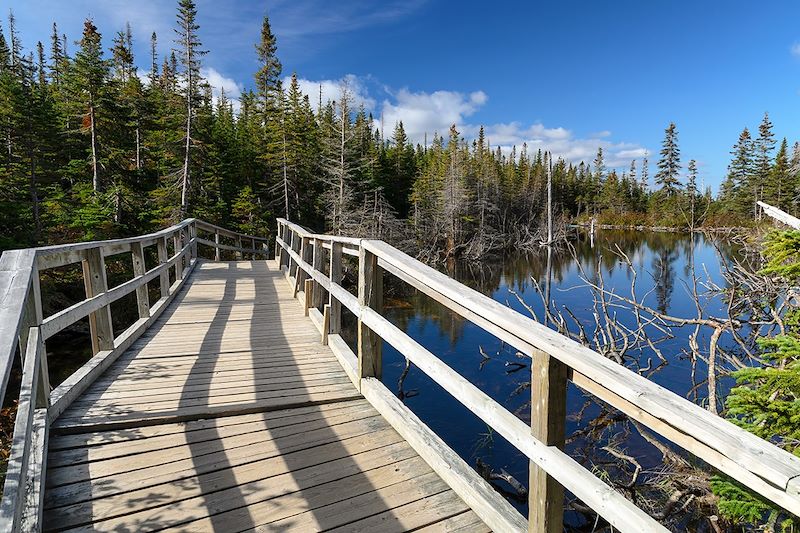 Parc national de la Gaspésie - Canada