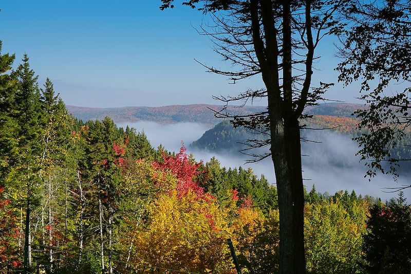 Un été au Québec 