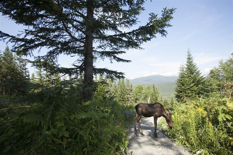 La Gaspésie, le bout du monde