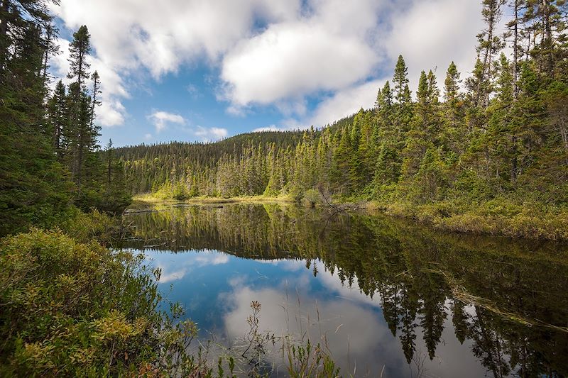 La Gaspésie, le bout du monde