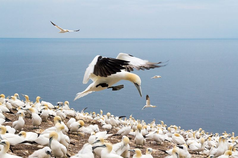 La Gaspésie, le bout du monde