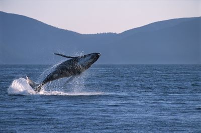 Panorama des Rocheuses à l'île de Vancouver 4