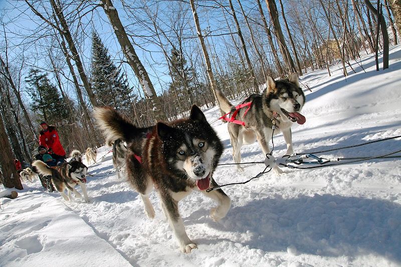 Aventure dans la neige québécoise dans le fjord du Saguenay : raquette, motoneige, traîneau à chien à la Pourvoirie Cap au Leste