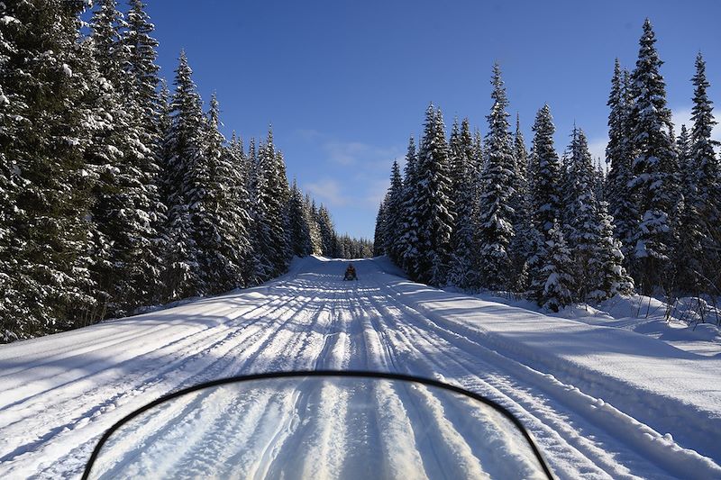 Aventure dans la neige québécoise dans le fjord du Saguenay : raquette, motoneige, traîneau à chien à la Pourvoirie Cap au Leste