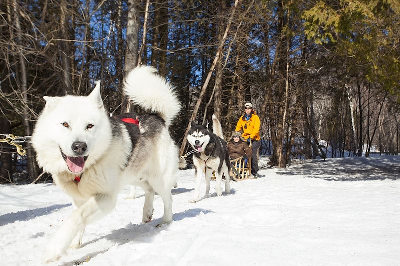 Aventure dans la neige québécoise dans le fjord du Saguenay : raquette, motoneige, traîneau à chien à la Pourvoirie Cap au Leste