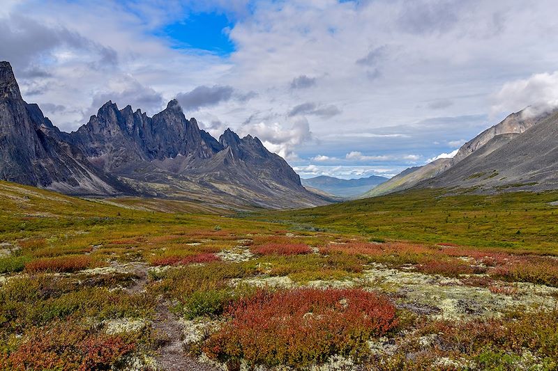 Rendez-vous en terre lointaine : le Yukon