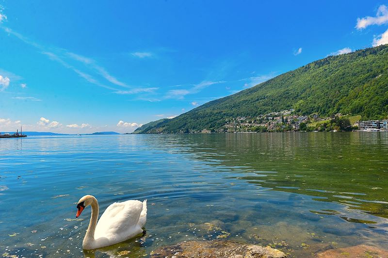 Lac de Bienne - Pays des Trois-Lacs - Suisse
