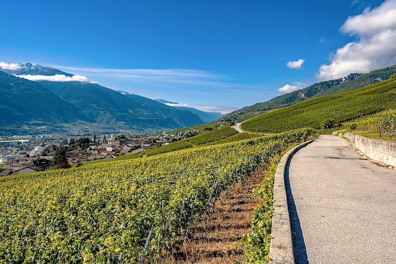 Vignobles près de Sierre - Canton du Valais - Suisse