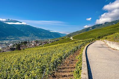 La route du Rhône 4