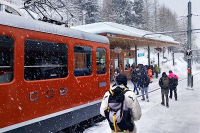 Féerie hivernale suisse en train panoramique 3