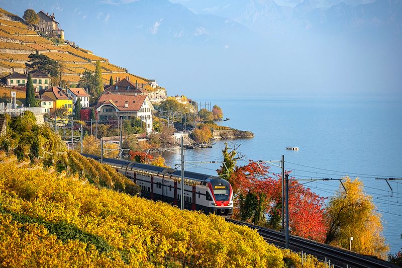 Train près du Lac Léman - Suisse