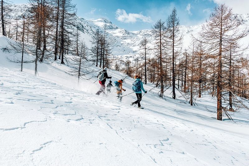 Randonnée à raquettes - Col du Simplon - Alpes suisses